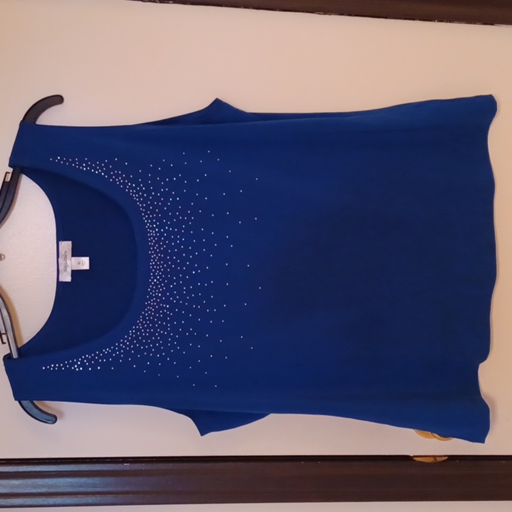 Dressbarn sparkly tank
